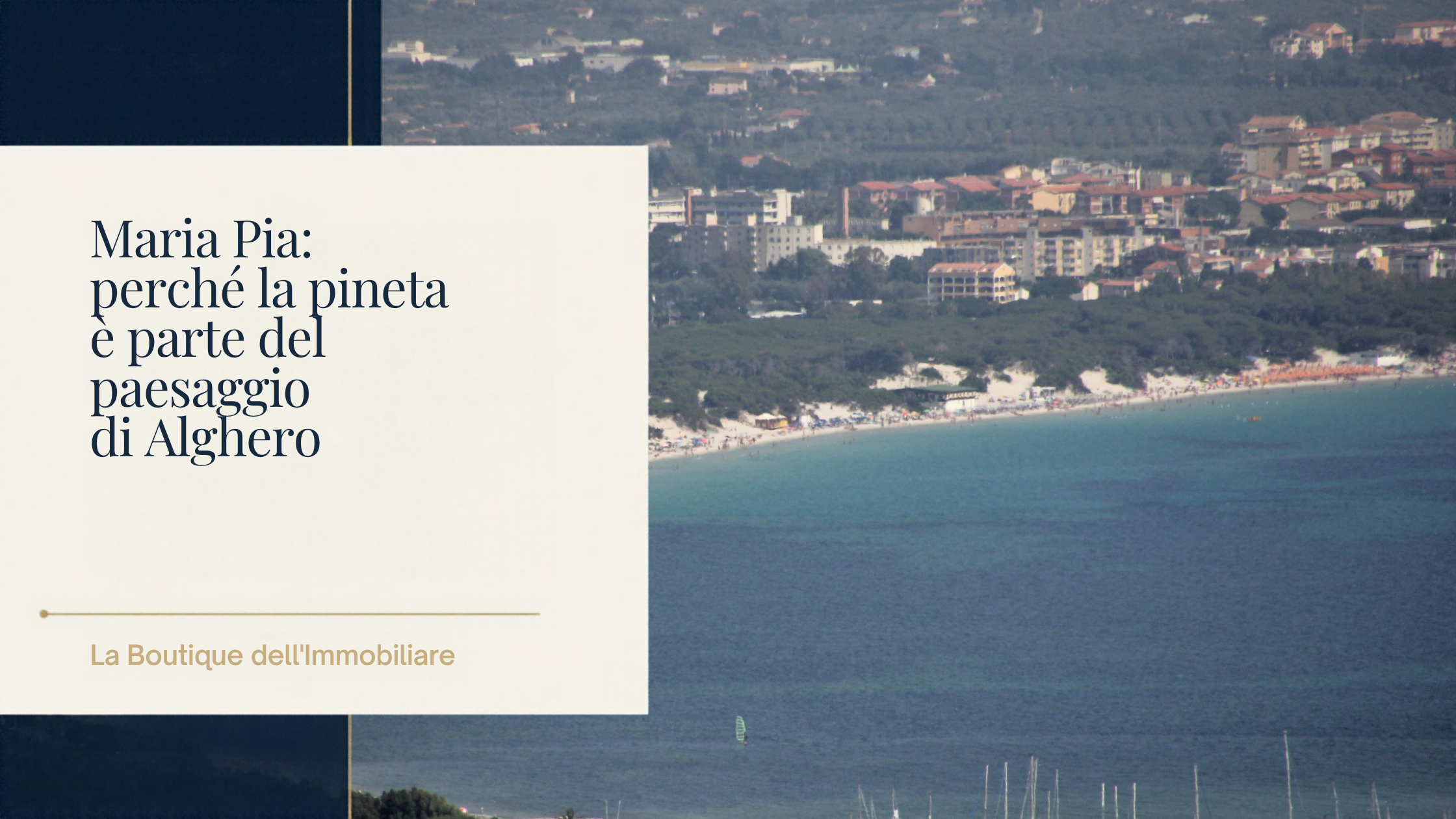 Maria Pia: perché la pineta è parte del paesaggio di Alghero — fotografia reale della spiaggia e della pineta, Gianni Careddu.