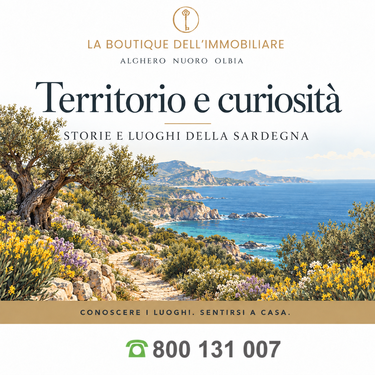 Territorio e curiosità — illustrazione della costa sarda, La Boutique dell’Immobiliare